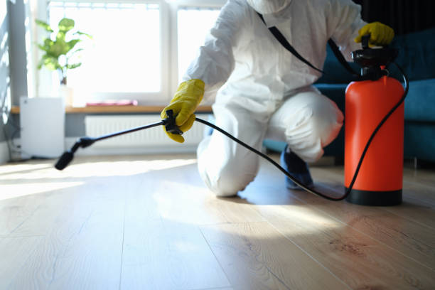 Best Commercial Pest Control Services  in Bigfork, MT