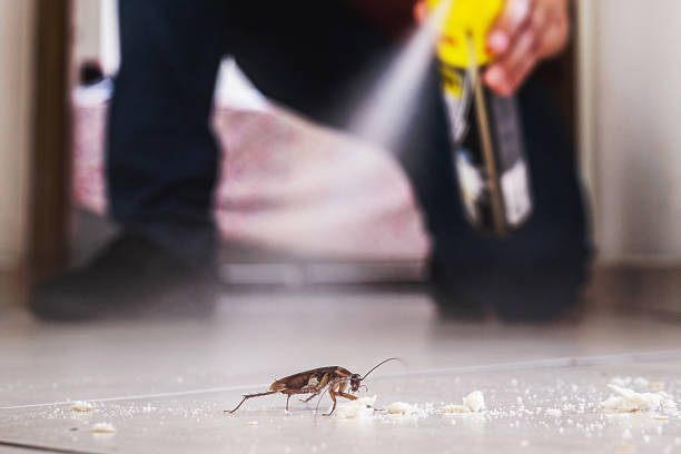Best Exterminator Services  in Bigfork, MT